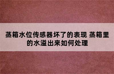 蒸箱水位传感器坏了的表现 蒸箱里的水溢出来如何处理